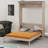 Modern Murphy Bed Featuring LED