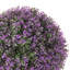 Faux Hedge-768811344-768772917