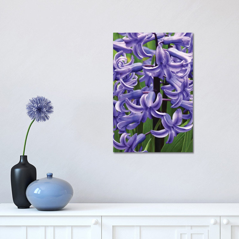 Hyacinths 1 Piece Wrapped Canvas Wall Art, 45.72cm H x 30.48cm W x 1.91cm D