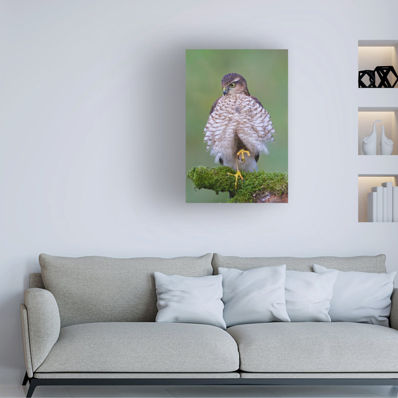 Art sur toile, Bolaire Ray Cooper, H 47 po x l 30 po