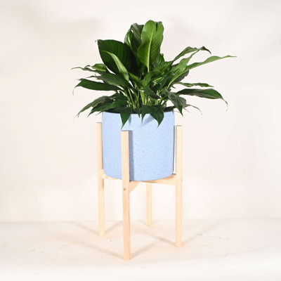 Helfer Handmade Ceramic Pot Planter