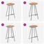 Imogene Counter Stool with Metal Frame