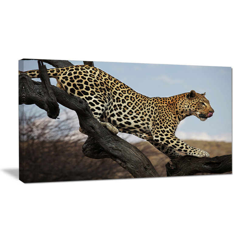 " Leopard Walking On Tree ", 16" H x 32" W