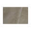 Area Rug in Beige