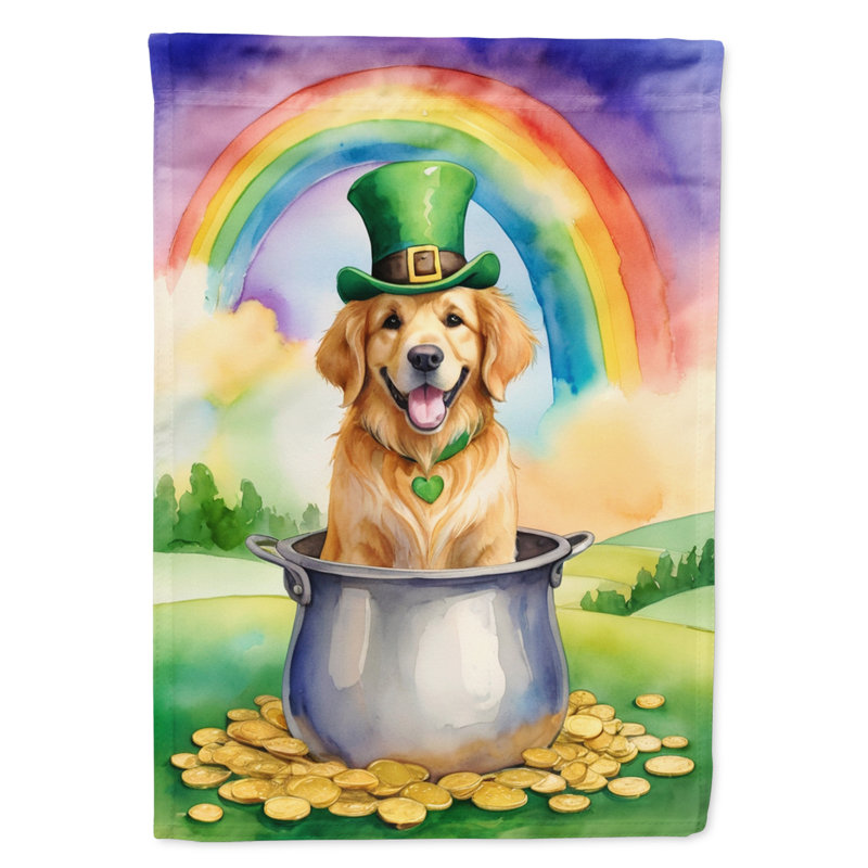 Drapeau double face en polyester H 40 po x l 28 po St Patrick's Day House