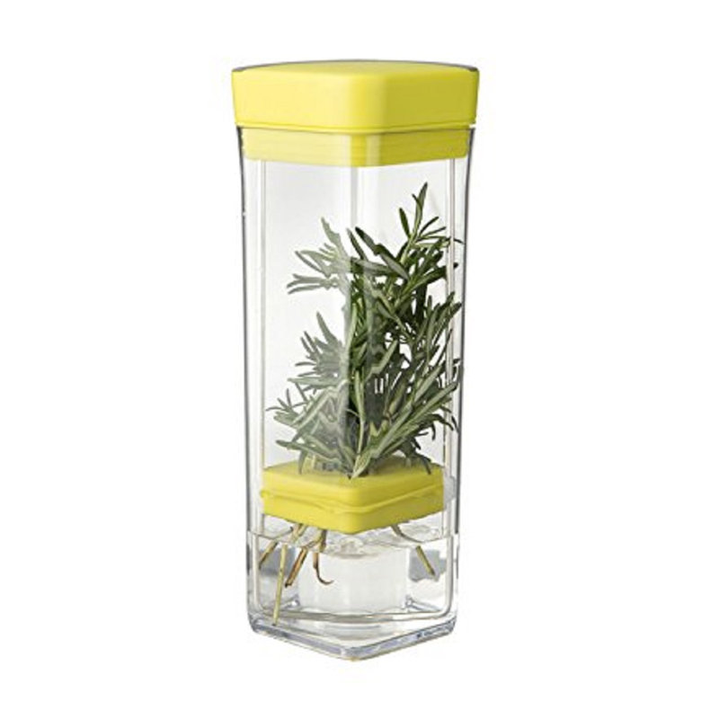 Food Storage Container