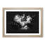Cocker Spaniel - Framed Print-56916796-56916797
