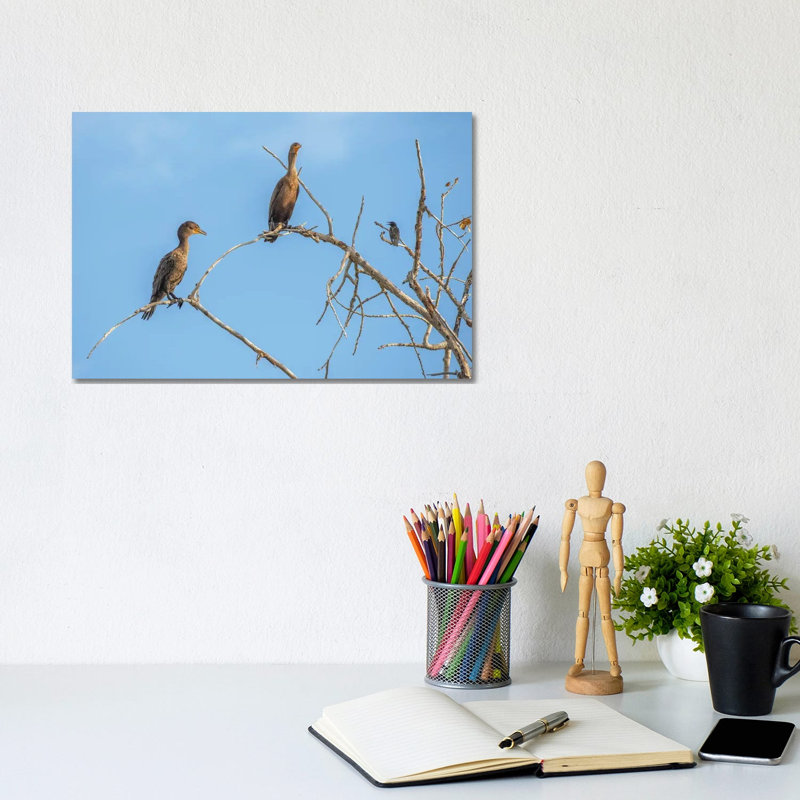 Bird Talk, Cormorants by Louis Ruth - Wrapped Canvas Print, 20.32 cm H x 30.48 cm W