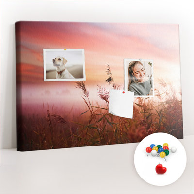Anneice Cork Corkboard / Bulletin Board