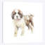 «St. «Bernard Puppy», reproduction sur toile-31857897-73439168-73439163