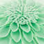  Housse de coussin décoratif à motif floral 3D-133101062-133101115