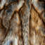 Couverture jetée de luxe en fausse fourrure coyote acajou doré Thomas Collection® - Tailles assorties