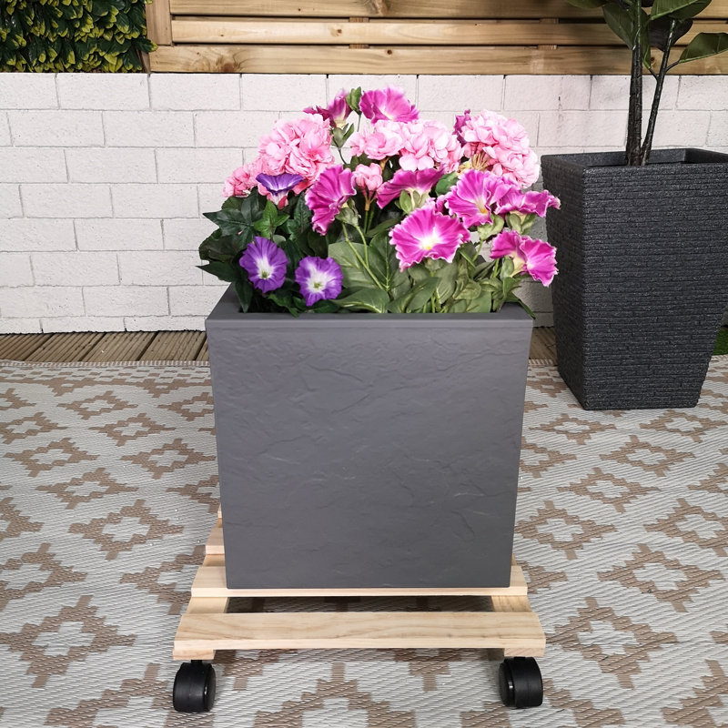 Samuel Alexander Plant Stand