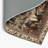 Persian Brown Indoor and Outdoor Area Rug-1430533584