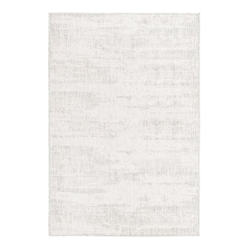 Bruss Gray Indoor/Outdoor Modern Rug, Rectangle 4'1" x 6'1"