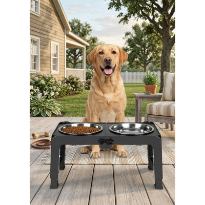 Support pour chien surélevé pliable ajustable à 5 hauteurs, 3,9 po à 13,4 po, avec bols en acier inoxydable, noir