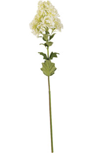 Arrangement