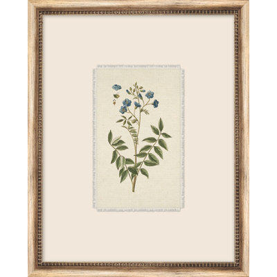 Petite Floral 4 Framed Watercolour Painting Print Canvas