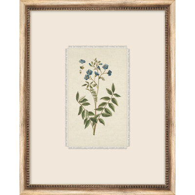 Petite Floral 4 Print