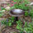 18" Classic Copper Birdbath with Tall Tripod Stand