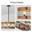 6 - Light Chandelier