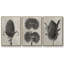 Blossfeldt Botanical IV 3 pièces-97757541-97757543