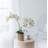 20.5'' Faux Flowering Plant in Pot
