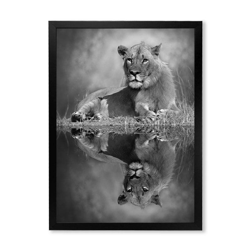 Lion en noir et blanc II - Impression sur toile, Cadre photo noir, H 20 po x l 12 po