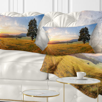 Throw Pillow