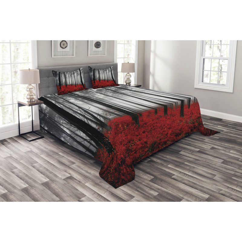 Ebern Designs Foshee Bedspread with Pillow Shams, 220 x 264 cm
