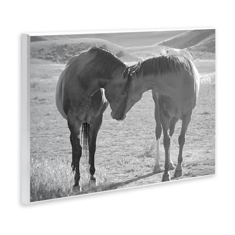 Plaque murale Sweet Nothings Bond entre les chevaux, design par Steve Toole, H 10 po x l 15 po