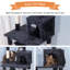 Treva 145 cm H Cat Tree / Condo-14030892
