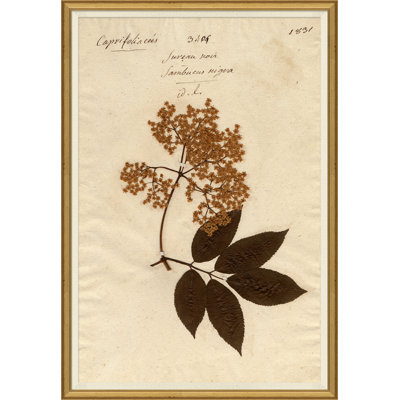 Herbier 9 - Impression de cadre photo sur papier