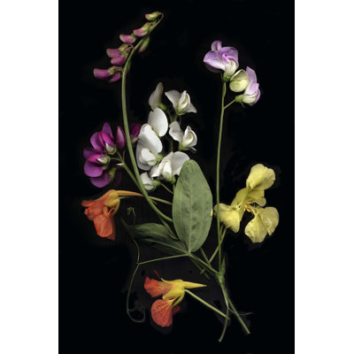 " Flower Drama I " by Judy Stalus