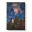 Starry Night Forest - Wrapped Canvas-61849540