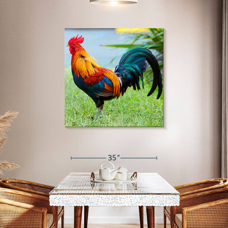 Crowle coq sur l'herbe, H 39 po x l 39 po