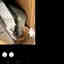 Photos des clients 1 de 2