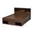 Ciceri Bookcase Bed