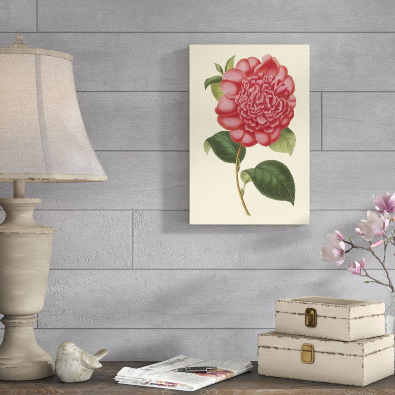 Camellia Garden I by Verschaffelt - Painting on Canvas, 46cm H x 30cm W, Wrapped Canvas