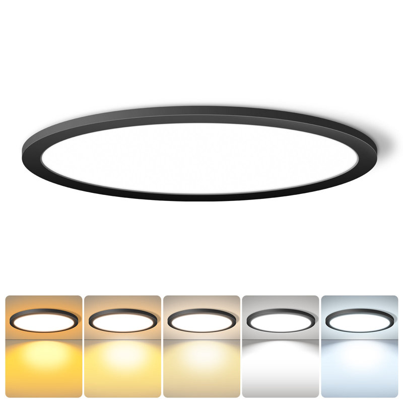 24 Inch Round Black Ceiling Light, 48W 120V 5CCT Dimmable Slim LED Ceiling Light, Close to Ceiling Light Fixtures for Bedroom, Kitchen, Hall