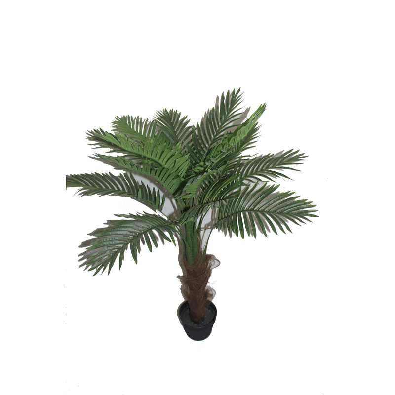Palmier de plancher tropical en pot