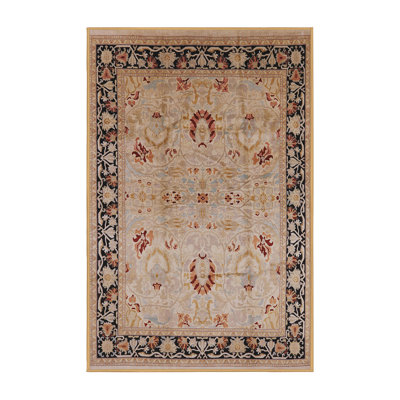 Petrus Oriental Indoor Rug
