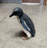 Fairy Penguin Statue