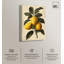 Impression sur toile Zesty Precision par Art Remedy-110295303-110295309