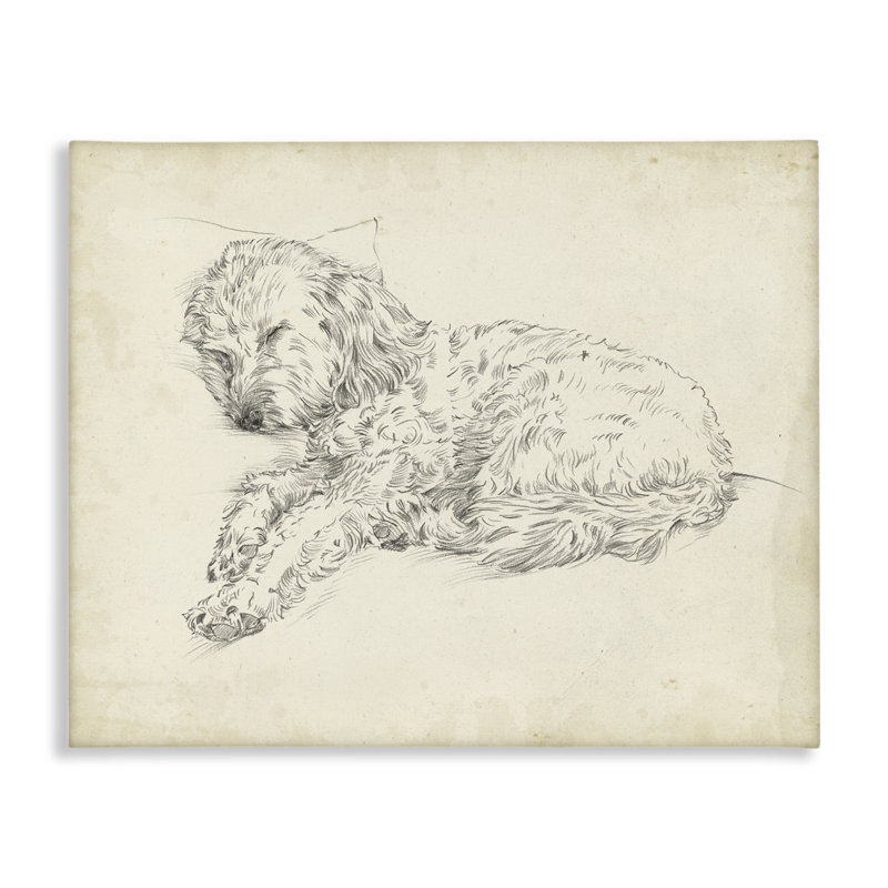 Art mural sur toile, "Antique Sleeping Dog", par Ethan Harper, H 36 po x l 48 po