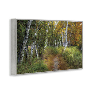 «Walk In The Hemlocks Forest», estampe numérique, design par D. Burt