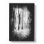 Forest Blur - Wrapped Canvas-56645433