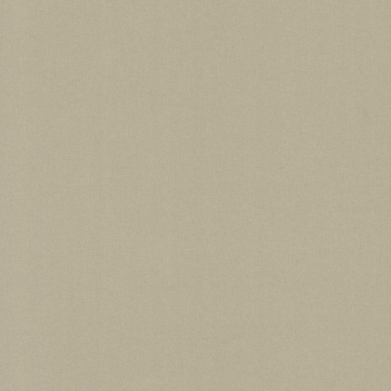 Rouleau de papier peint L 30 pi x l 26 po Gypsy Weave, Brun pâle