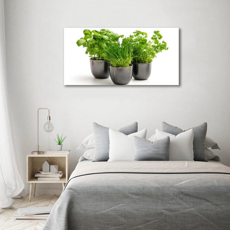 Herbs In Pots - Print, 70cm H x 140cm W x 2cm D, Wrapped Canvas