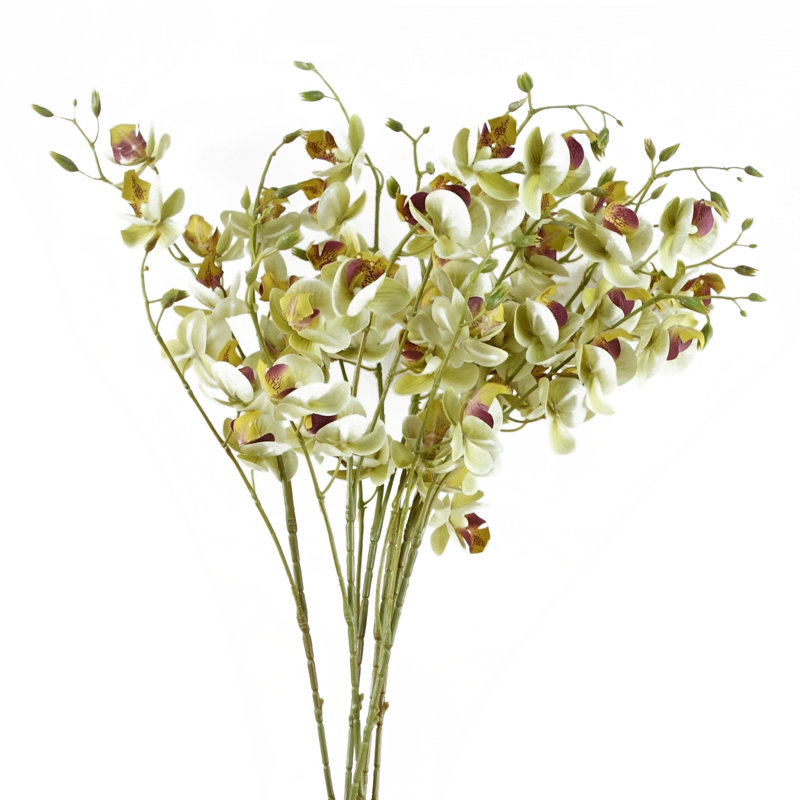 Plastic, Silk Artificial Arrangement, Cream